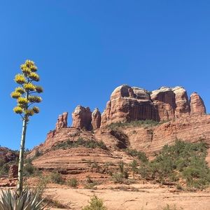 Meet your Posher, Kimberly v.